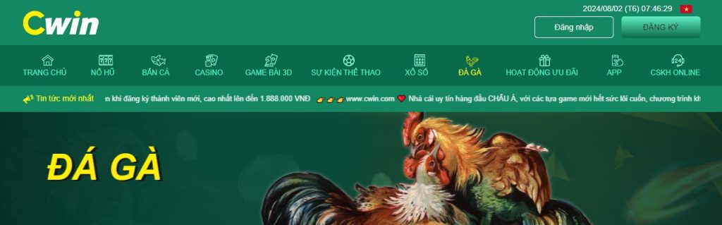 Giới thiệu thế giới đá gà cwin